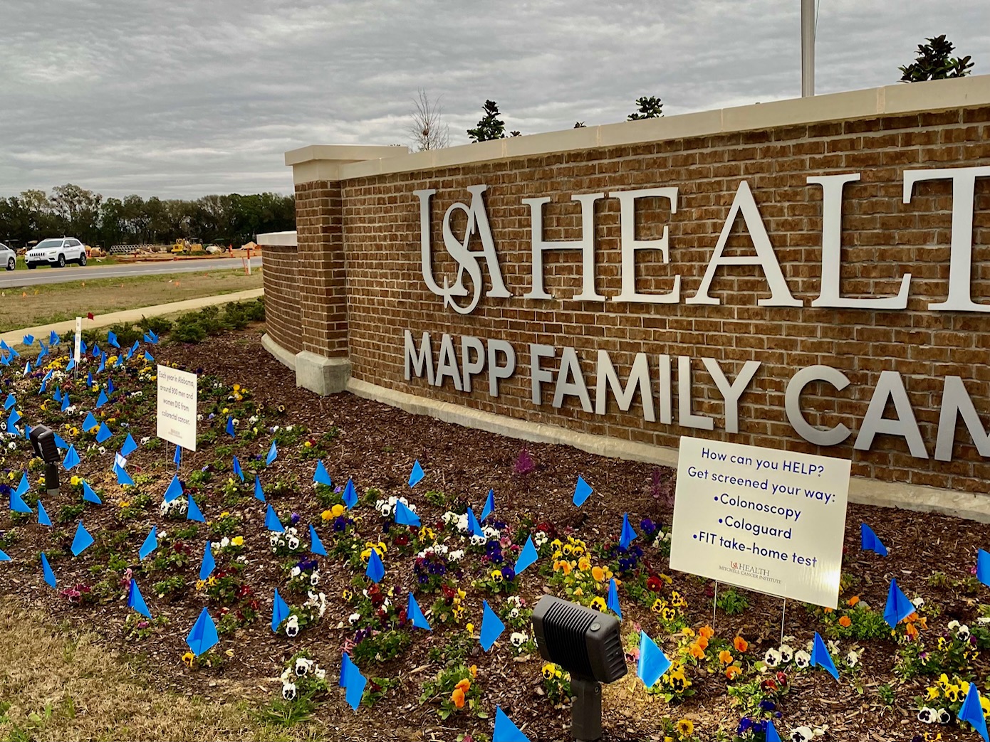 Blue flags for colorectal cancer awareness